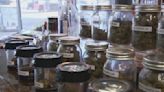 Lockhart advocates one step closer to decriminalizing low-level marijuana possession