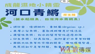 雲林縣政府與宜梧國中攜手 打造成龍濕地珍貴生態教育 | 蕃新聞