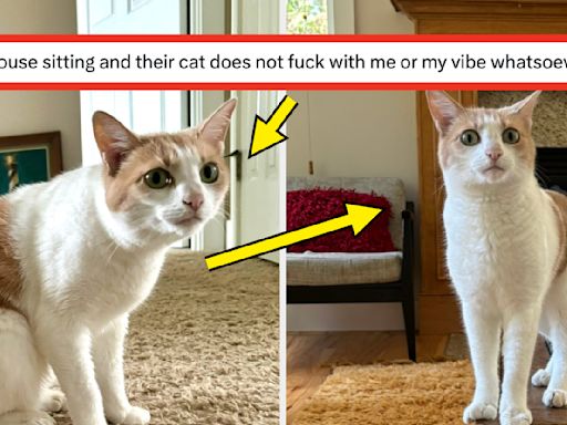 18 Fails From The Internet This Week That Are So Funny You'll Die