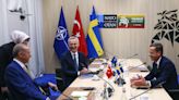 Stoltenberg considera ya "histórica" la cumbre de Vilna por el desbloqueo turco