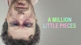 A Million Little Pieces Streaming: Watch and Stream Online via Amazon Prime Video and Hulu