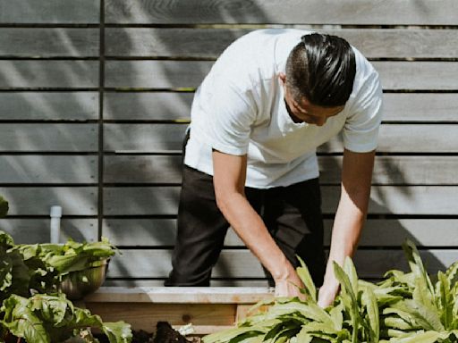 Voici pourquoi le jardinage est si bon pour le corps et l'esprit