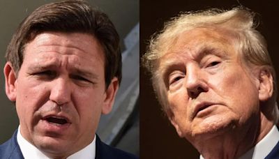 Ron DeSantis, Donald Trump connected as fellow 'dads' during high-stakes meeting