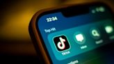 TikTok sues to block prospective US app ban