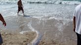‘Oarfish’ Are Now Resurfacing—and a Superstition Has Some People Worried the ‘Doomsday’ Fish Is a Serious Warning