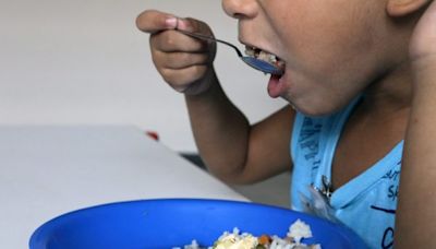 Diadema recebe pesquisadores do Estudo Nacional de Alimentação e Nutrição Infantil