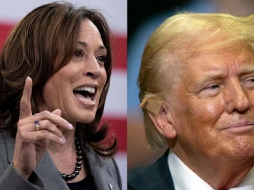 US Presidential election heats up, Kamala Harris edges out Trump in key battleground polls