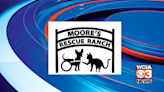 Moore’s Rescue Ranch’s future cat lounge named