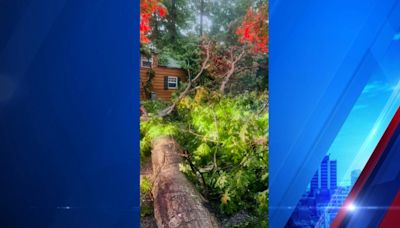 Glasgow firefighters rescue 2 people after trees fall into cabin