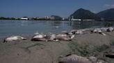 An overdue Olympic pledge to restore Rio de Janeiro’s lagoons is finally taking shape