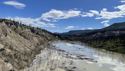 In the news: Canada nabs bronze men's in swimming, B.C. landslide assessment planned