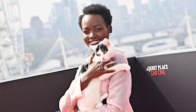 What’s the Deal With Lupita Nyong’o’s Red Carpet Cat?