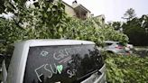 Storms sweep South, killing 1 in Florida | Northwest Arkansas Democrat-Gazette