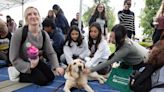 Mental Health Resource Fair guides CSUF students to programs