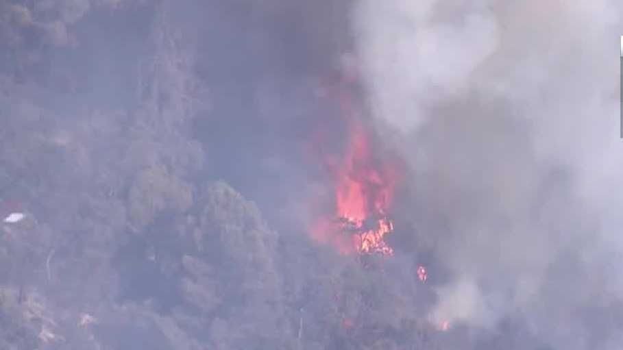 NorCal Heat Wave: Everything to know about the forecast, how to stay cool, fire danger