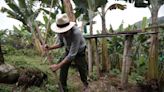 ¿Cómo está la seguridad alimentaria en las regiones de Colombia?