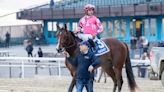 Dornoch May Rebound To Upset In Belmont Stakes