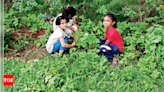 A growing fondness for wild veggies that spring up in Western Ghats forests | Kolhapur News - Times of India