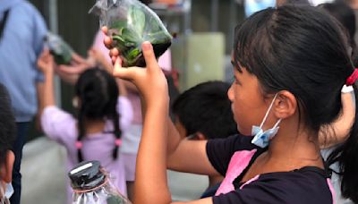 嘉義縣鹿草鄉特色農遊體驗 一日小農夫手作好好玩 | 蕃新聞