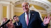 Schumer-linked PACs spend millions to meddle in GOP primaries