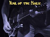 Year of the Horse