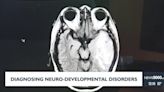 Diagnosing neuro-developmental disorders