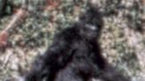 Bigfoot bonanza: What to know about sasquatch event at Ohio's Pleasant Hill Lake Park