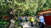 Audi China starts ancient tree-protecting initiative