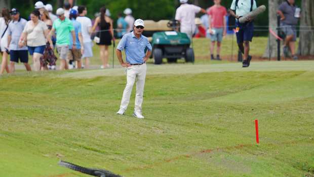 Watch: Alligator Holds Up Zurich Classic