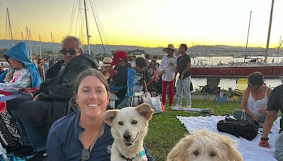 Leilani the Goldendoodle rescued 2 days after fleeing Fourth of July fireworks in Bay Area