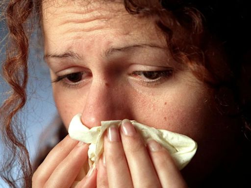 Different types of hay fever, what symptoms mean and how best to treat each one