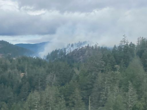 Smokejumpers deployed to eastern flank of 230-hectare wildfire near Sooke