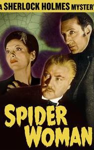 Sherlock Holmes and the Spider Woman