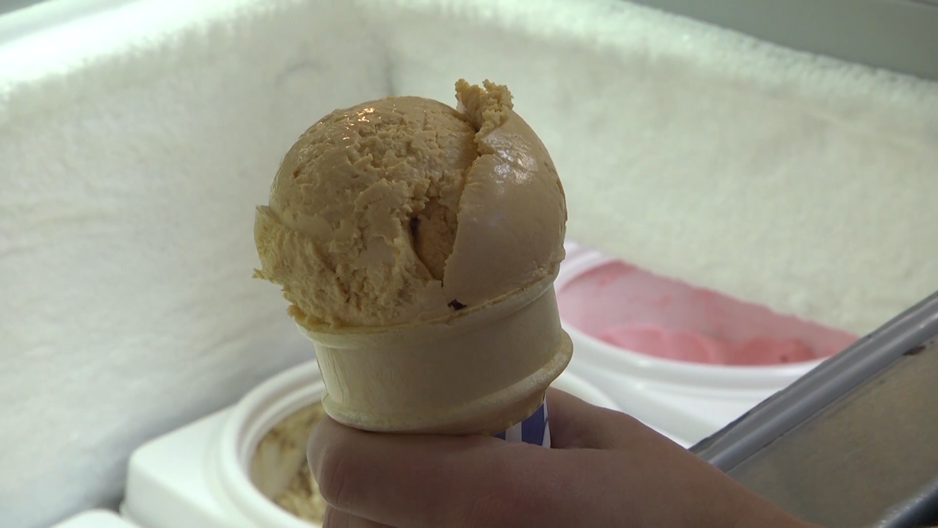 Meltdown Ice Cream awarded national grant - WNKY News 40 Television