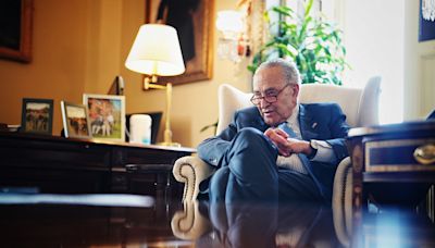 Schumer vows Supreme Court reform will be a very big priority if Democrats win election