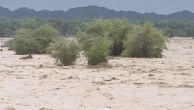 阿聯酋暴雨成災 單日降雨量達平均一年總和