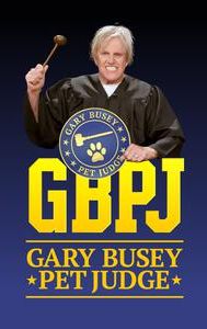 Gary Busey, Pet Judge