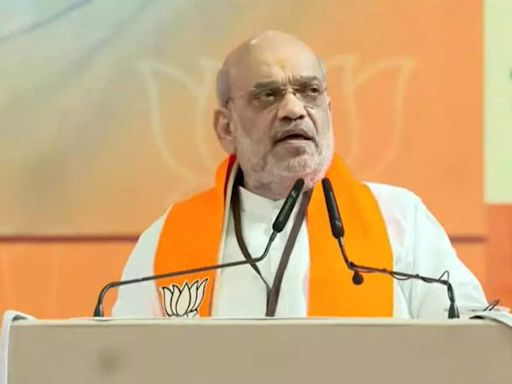 MVA 'Aurangzeb fan club', Pawar ringleader of graft in politics: Amit Shah | India News - Times of India