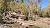 Trees And Buildings Snapped Like Toothpicks By Avalanche