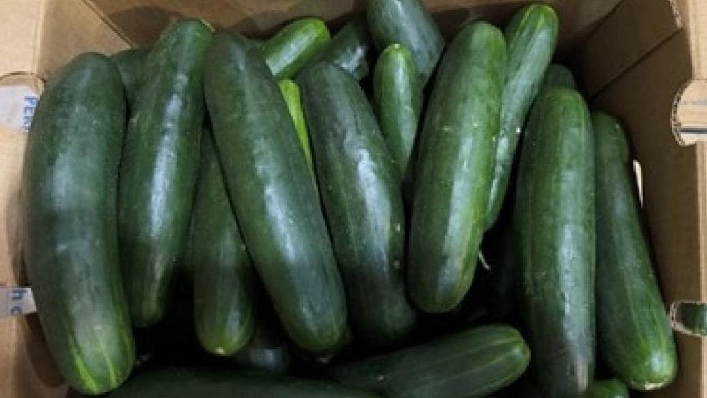 Map shows states affected by recalled cucumbers potentially contaminated with salmonella