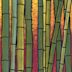 Bamboo Magic
