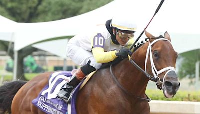 Nominations Released For Preakness Week Stakes, Including Black-Eyed Susan, Pimlico Special