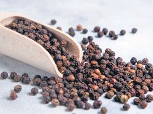 International Pepper Community keen to develop pepper trading app