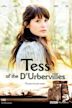 Tess of the D'Urbervilles (2008 TV serial)