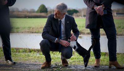 Les résultats des législatives 2024 marquent le retour de personnalités de premier plan à l’Assemblée nationale