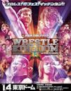 Wrestle Kingdom 13