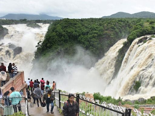 Mysuru: Monsoon tourism gains traction as rivers overflow
