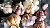Can You Plant Garlic in the Spring? With These Must-Know Tips, You Can