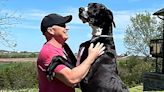 World's tallest male dog, Kevin, dies after setting new record