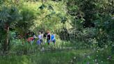 12 best hiking trails in Singapore for nature-lovers